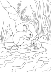 Coloring page. Mother jerboa stands with her liitle cute baby.