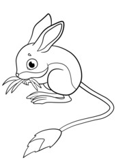 Coloring pages. Little cute baby jerboa stands and eats grass.