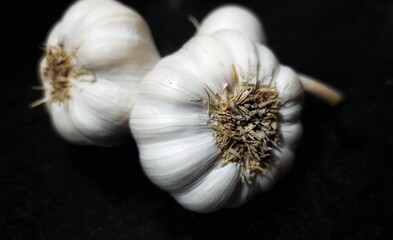 garlic on black background