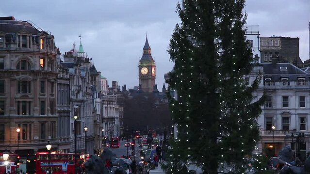 Trafalgar Square in London. With Christmas Tree and many Tourists. Big Ben in Background. Mid Shot. Stock Video Clip Footage