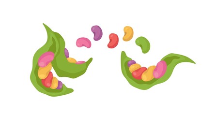 Naklejka premium Multicolored beans logo. A hand-drawn bean pod. Elements for festive decoration. Isolated vector colorful element.