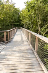 Cercles muraux Heringsdorf, Allemagne The new tree-top walk in Heringsdorf as an excursion destination
