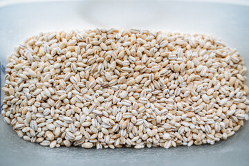 Pearl barley top view. White cereal. Pearl barley grains.