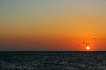 Naklejka na ściany i meble Beautiful sunset with the sun and seabirds in the emerald riviera yucate