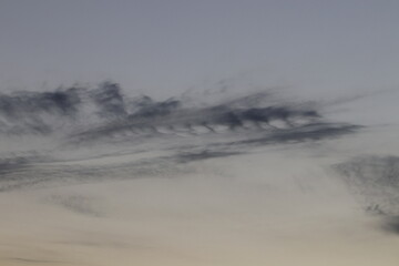 Obraz na płótnie Canvas Beautiful light,silhouette and blue sky in the morning