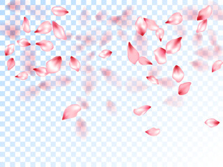 Japanese cherry petals on transparent background.