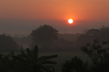 Orange light ,mist and silhouette in the early morning