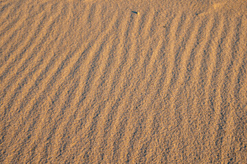 Wellen Muster im Sand durch Wind und Erosion in einer Düne 