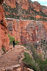 Grand Canyon, Arizona, USA