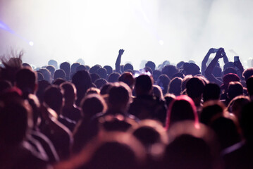 Fototapeta na wymiar Crowd of people partying at music festival