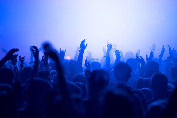 Fototapeta na wymiar Crowd of people clubbing at live concert