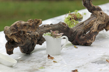 Tableware settings in outdoor venue with nature