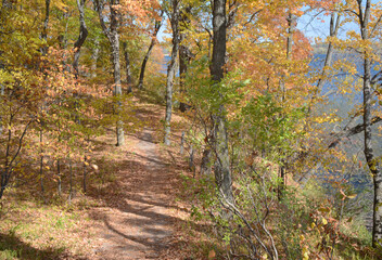 Scenic Autumn Trail In Minnesota State Park