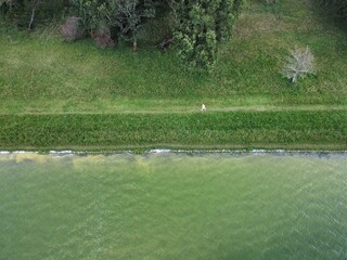 grass and water