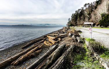 Shoreline Mountains Landscape