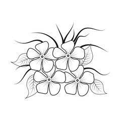 Rosehip - graphic ink botanical artwork. Raster illustration.