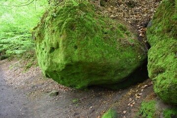 Stein