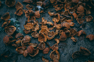 a lot of walnut shell, hard texture 