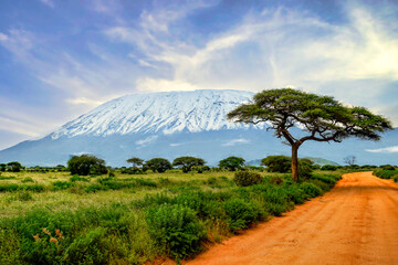 Bilder von dem Schneebedeckten Kilimandscharo in Kenia 