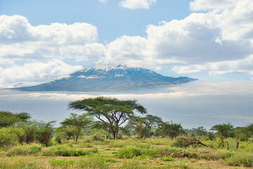 Bilder von dem Schneebedeckten Kilimandscharo in Kenia 