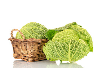 Two bunches of organic Savoy cabbage with basket, macro, isolated on white.