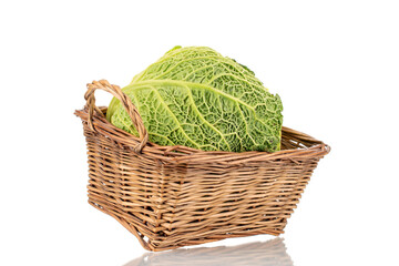 One cabbage of organic Savoy cabbage with a basket, macro, isolated on white.