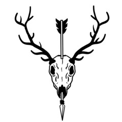 Skull of deer with arrow in head. Hunting trophy with horns. Antler of stag or reindeer with headshot. Scary black and white drawing for Halloween.