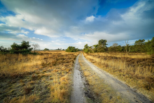 Blue sky and Cumulus clouds over bare heather landscape