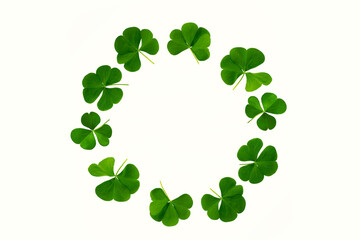 green clover leaves isolated on white background. St.Patrick 's Day