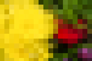 Squared mosaic with yellow left part and dark green and red right part