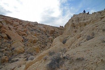 Woman and dogs on top of canyon, Mojave Desert, California, USA, MR