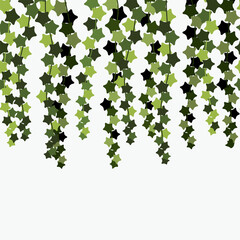 vector ivy seamless background