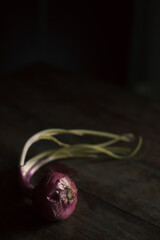 Onion still life dutch style painting