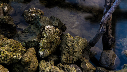 Rocks on the beach