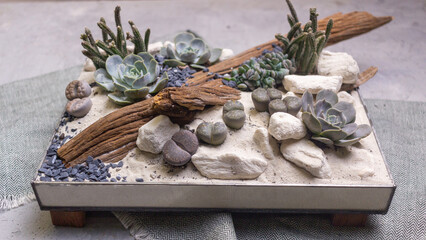 Terrarium floral arrangement with succulents