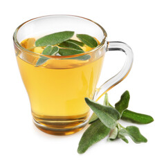 Cup of aromatic sage tea and fresh leaves on white background
