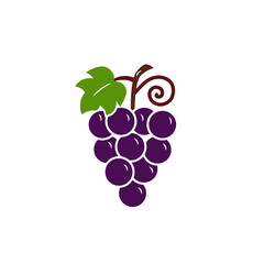 Grape bunch with leaf, icon, logo. Isolated on white background vector illustration.