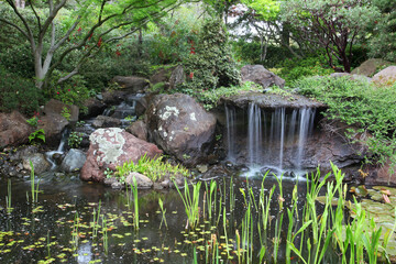 waterfall in pond