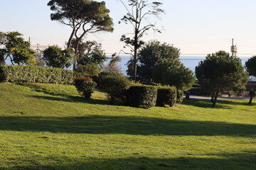 Genova, Italy - January 28, 2022: Park of Nervi by winter days. Green park for relax. Natural park near the sea, with some tall trees. Clear blue sky in the background.
