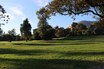 Fototapeta premium Genova, Italy - January 28, 2022: Park of Nervi by winter days. Green park for relax. Natural park near the sea, with some tall trees. Clear blue sky in the background.