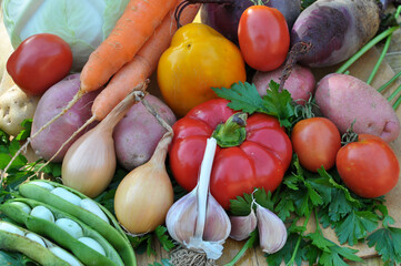 Vegetable borscht set
