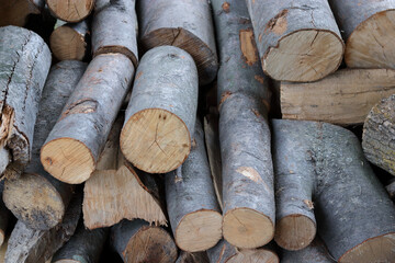 Firewood stacked and prepared for winter. Ecological issues. Freshly made firewood in the evergreen forest. Ecology. Pile of natural wooden logs. Pine tree logs. Round organic shape elements. Nature