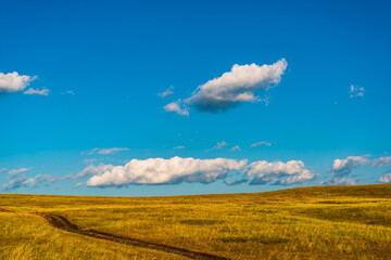 Yellow field and road, clouds in the blue sky. The clouds are very low.