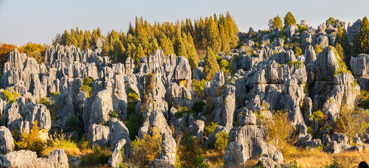 Karst landscape with limestone rocks and pillars in the Shilin Stone Forest, Yunnan province, China