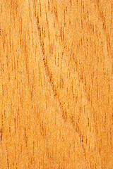 Close up of wooden texture of Cedar wood cigar box surface