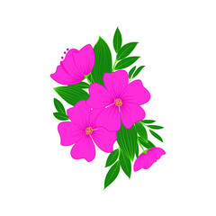 Bouquet of spring, summer flowers. Colorful realistic vector illustration. Isolated on white background.