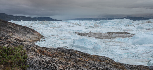Panoramic image of the ilulissat icefjord in summer packed with ice and icebergs
