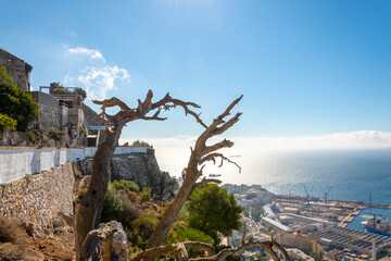 View from the lookout point terrace near Prince Ferdinand's Battery on the Rock of Gibraltar of the...