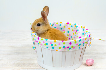Rabbit in a white basket with colorful Easter eggs on a white table. Place for an inscription....