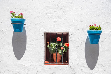 multicolored pots of flowers hanging on walls of a typical village